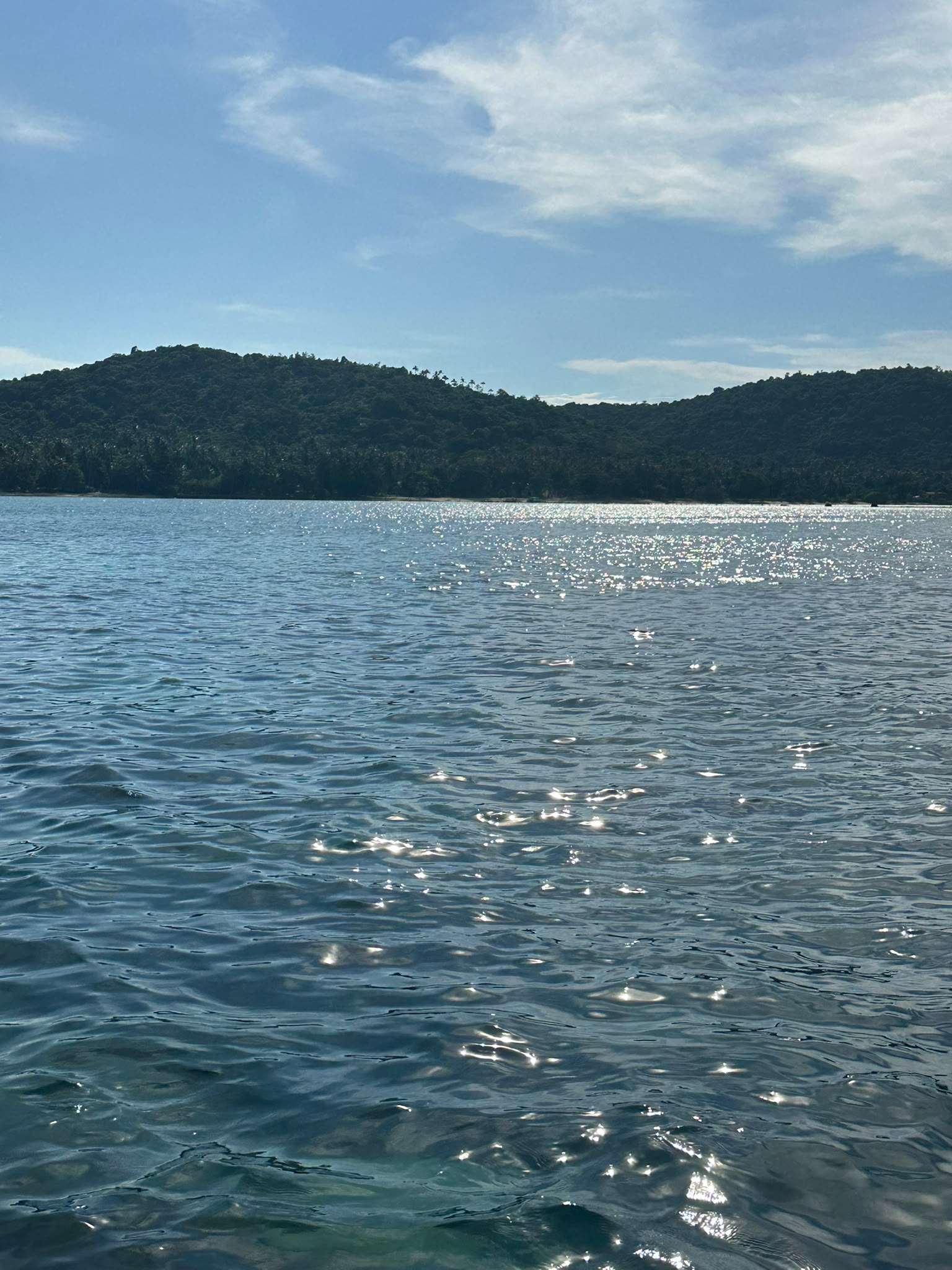 Gleiten Sie über das glitzernde, tiefblaue Wasser und lassen Sie den Blick über die üppig grünen Hügel dieses tropischen Paradieses schweifen. Spüren Sie die wohltuende Ruhe und die sanfte Meeresbrise, während Sie sich auf eine unvergessliche Entdeckungsreise begeben. Sichern Sie sich Ihren Platz an Bord und erleben Sie diesen magischen Ort selbst.