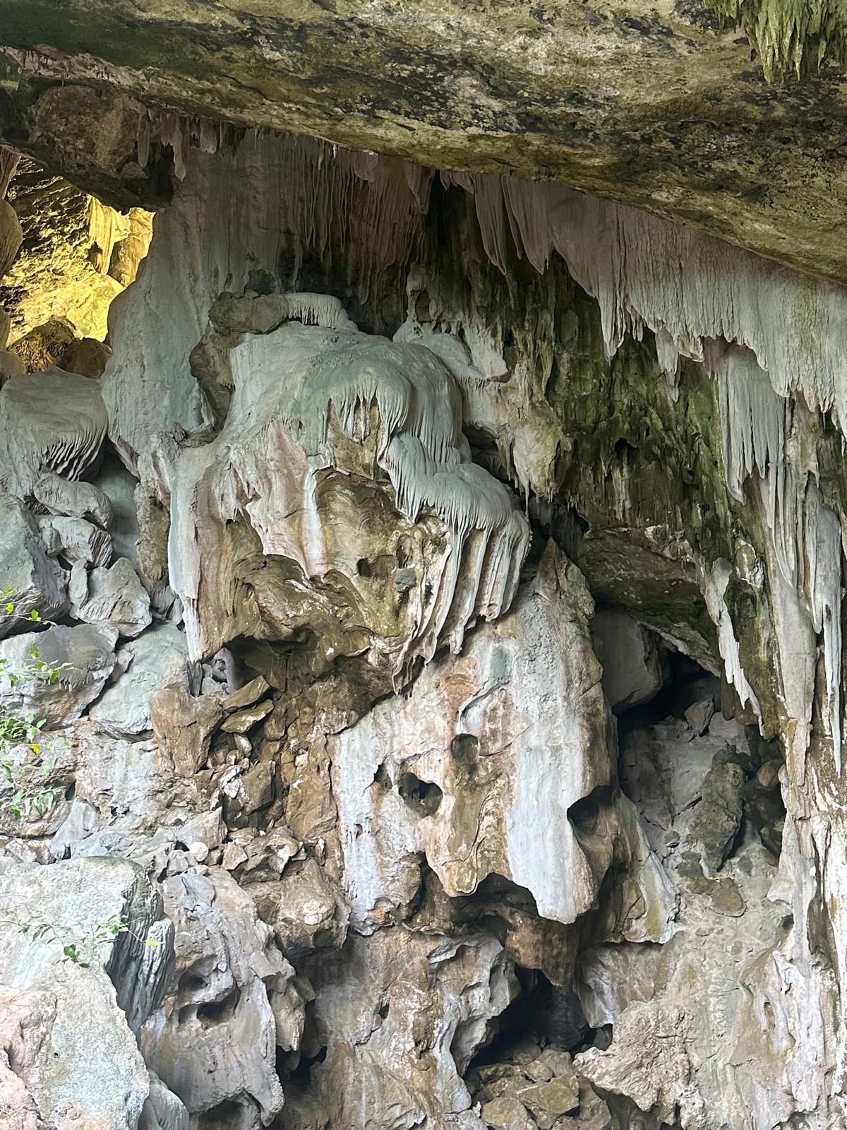 Tauchen Sie ein in die faszinierende Unterwelt und bestaunen Sie die bizarren, jahrtausendealten Tropfsteinformationen dieser geheimnisvollen Höhle. Unsere geführten Entdeckungstouren bringen Sie hautnah an diese verborgenen Naturwunder heran – ein unvergessliches Abenteuer für Entdecker und Naturliebhaber.